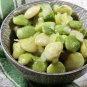Henderson Bush Lima Bean Seeds Untreated