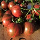 Purple Bumble Bee Cherry Tomato Seeds. 10 Organic Seeds