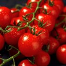 Riesentraube Heirloom Tomato Seeds You will get 50 Fresh Seeds
