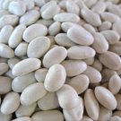 Great Northern Bean Seeds, Treated.