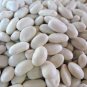 Great Northern Bean Seeds, Treated.