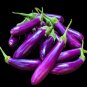 Long Purple Eggplant Seeds