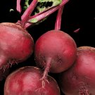 Ruby Queen Beet Seeds (Treated Seed)