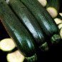 Dark Green Zucchini Squash Seeds