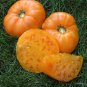 Amana Orange Heirloom Tomato Seeds Lycopersicon esculentum