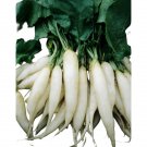 White Icicle Radish Seeds