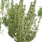German Thyme Seeds, 1/2gr Approx 3500 seeds
