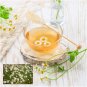 Roman Chamomile Seeds, Ground Cover Teas & Medicine, NON-GMO
