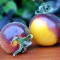 *NEW* Wolly Kate Yellow Tomato 10 Seeds