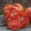 *NEW* Beefy Red Tomato Seeds, Certified Organic 10 Seeds , Free Shipping!
