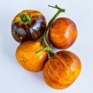 Alice's Dream tomato 10 seeds Same Day Free Shipping in most cases