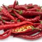 Hot Portugal Pepper Seeds 10 Seeds