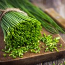 Chives 500 Seeds Allium schoenoprasum