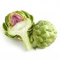 Green Globe Artichoke 20 Seeds