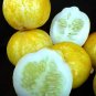 Lemon cucumber, Cucumis sativus You will get 30 Seeds