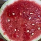 Strawberry watermelon RARE, or Citrullus lanatus.  20 Seeds