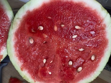 Strawberry watermelon RARE, or Citrullus lanatus.  20 Seeds