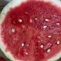 Strawberry watermelon RARE, or Citrullus lanatus.  20 Seeds