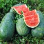 Strawberry watermelon RARE, or Citrullus lanatus.  20 Seeds