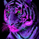 Purple Tiger Cacho Whitehead Leaf 10 Seeds