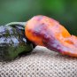 Black Panther Hot Pepper, 10 Seeds.