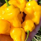 Trinidad Perfume Pepper 10 Seeds.