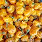 Trinidad Perfume Pepper 10 Seeds.