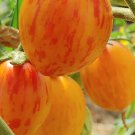 Sunrise Bumble Bee Cherry Tomato Seeds.  10 Organic Seeds
