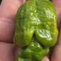 Gator Jigsaw Hot Pepper.  10 Seeds.