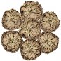 Rose of Jericho. You will receive 3 plants