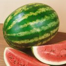 Crimson Sweet Watermelon.  25 Seeds Free Shipping