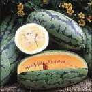Orangeglo Watermelon Seed  10 Seeds Free Shipping