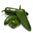 Pantera F1 (Treated) Jalapeno Pepper 10 Seeds