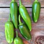 Early Jalapeno F1 Hybrid Pepper,  10 seeds.