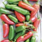 Early Jalapeno F1 Hybrid Pepper,  10 seeds.