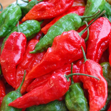 Ghost Seeds, Bhut Jolokia 10 Seeds