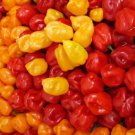 Firestarter Habanero Pepper Blend 10 Seeds