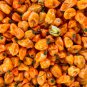 Orange Habanero Pepper 10 Seeds