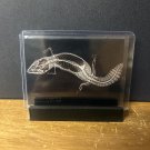 2024 Topps Allen & Ginter X-Ray'd Fat-Tailed Gecko #XR-15