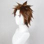 Tenzo Yamato Wig