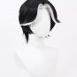 Husk Wig Cosplay