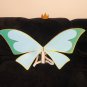 Winx Male Bloom Cosplay Wings Crown