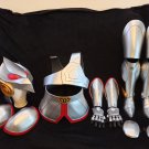 Pegasus Seiya Armor Cosplay
