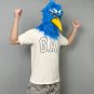 Sunraku Mask Cosplay