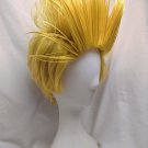 Present Mic Wig