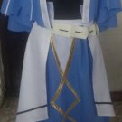 Caster Cu Chulainn Costume