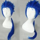 Lancer Cu Chulainn Wig Cosplay