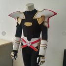 Rider Astolfo Armor Cosplay