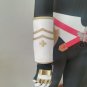 Rider Astolfo Armor Cosplay