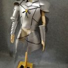 Bedivere Saber Armor Cosplay